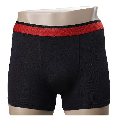 팬티