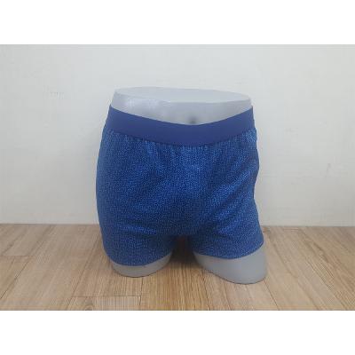 팬티