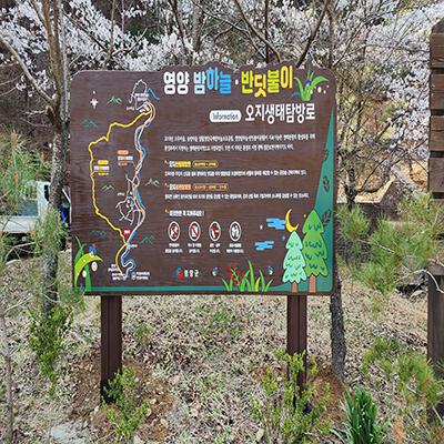 다해 조달 등록 상품 이미지 3