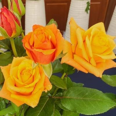 남사야생화농원 조달 등록 상품 이미지 2