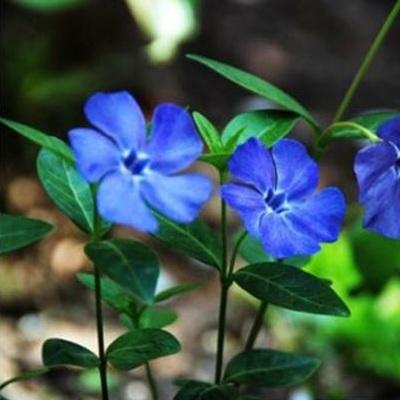 뜰안의행복 조달 등록 상품 이미지 2