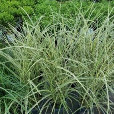 뜰안의행복 조달 등록 상품 이미지 3