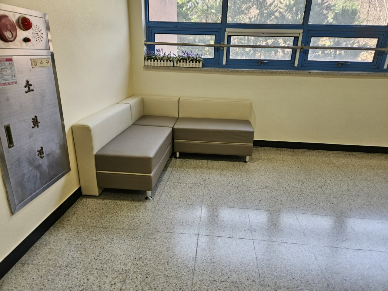 external_image